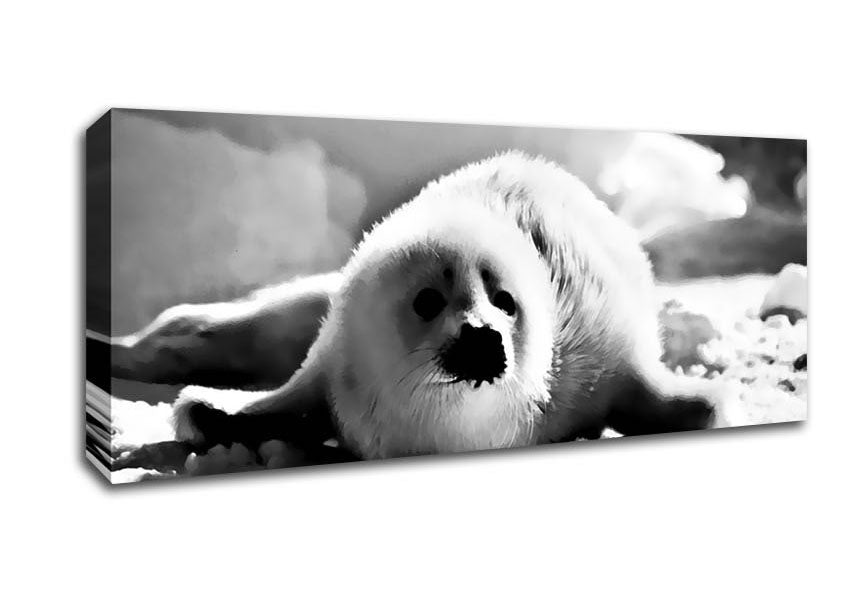 Picture of Seal Pup Panoramic Canvas Wall Art