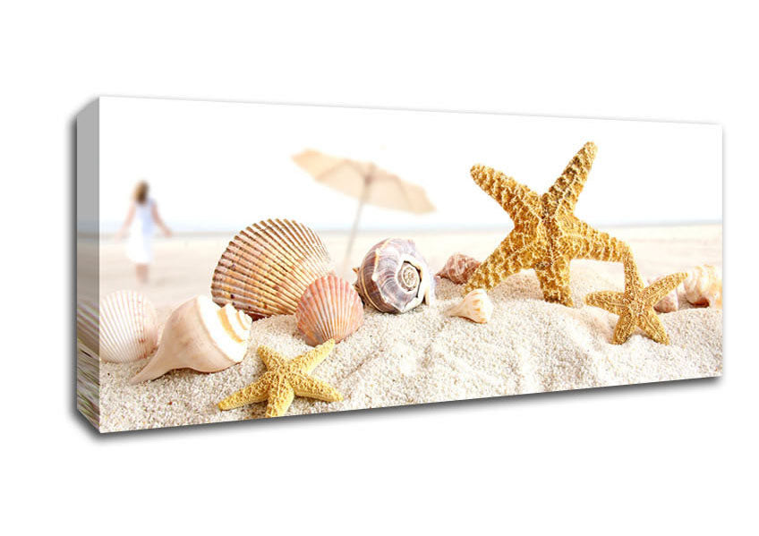 Picture of Seashells And Starfish On The Beach Panoramic Canvas Wall Art