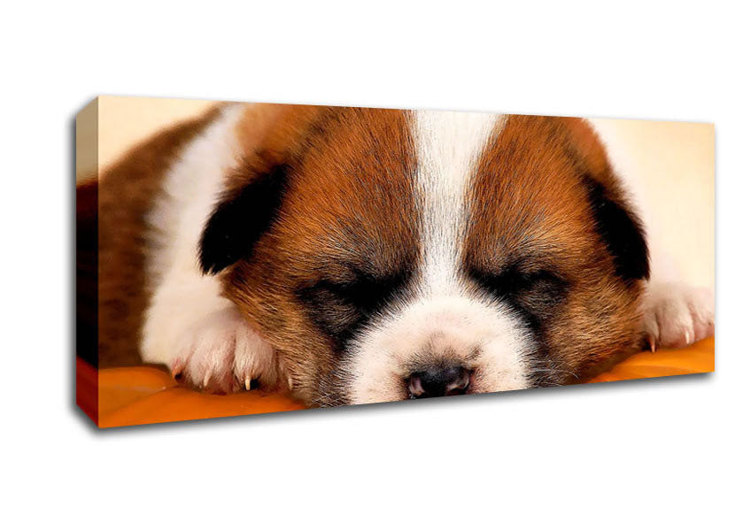 Picture of Sleeping Puppy Love Panoramic Canvas Wall Art