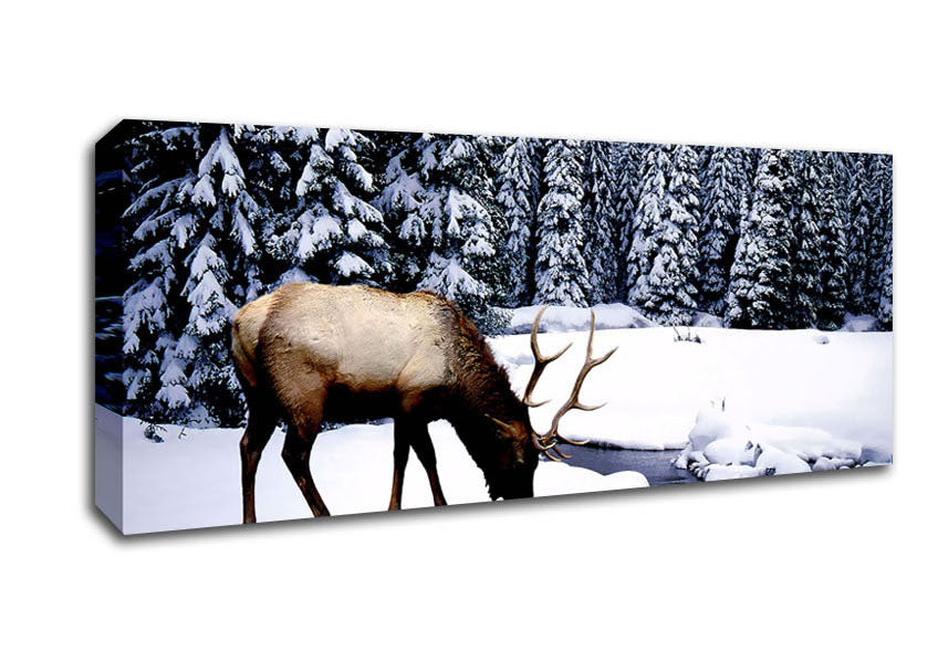 Picture of Stag In Winter Panoramic Canvas Wall Art