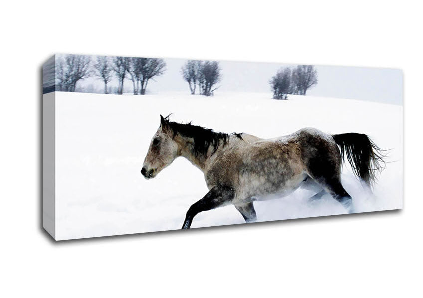 Picture of Stallion In The Snow Panoramic Canvas Wall Art