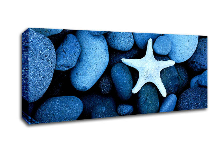 Picture of Star Fish Rocks Panoramic Canvas Wall Art