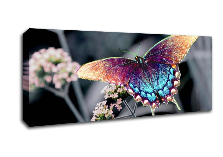 Picture of Stunning Butterfly Wings Panoramic Canvas Wall Art