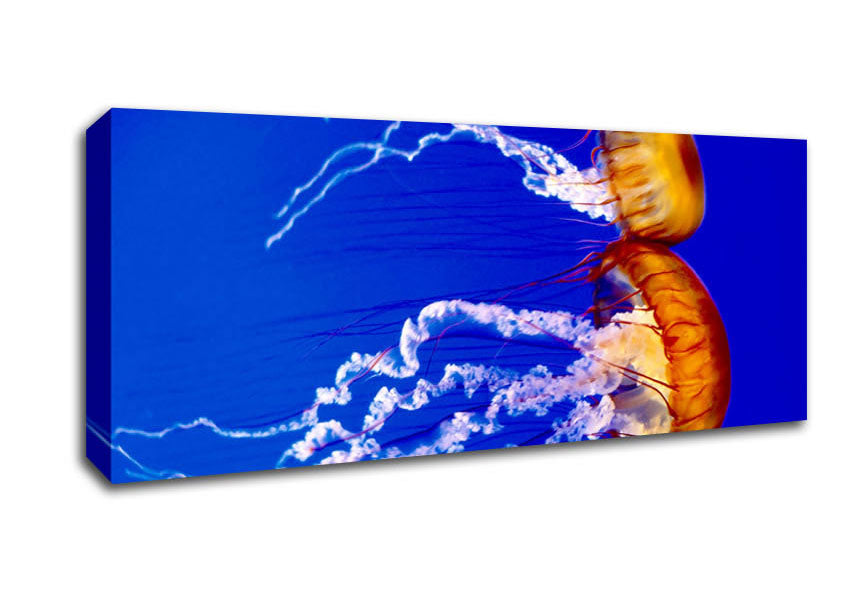 Picture of Stunning Jellyfish Panoramic Canvas Wall Art