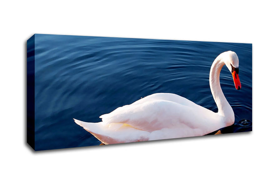 Picture of Swan In The River Panoramic Canvas Wall Art