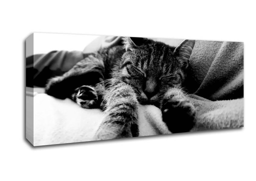 Picture of Sweet Dreams B n W Panoramic Canvas Wall Art