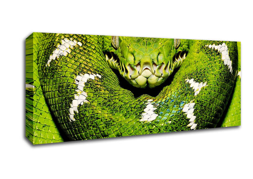 Picture of The Serpent Panoramic Canvas Wall Art