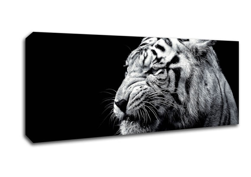 Picture of Tiger Black And White 2 Panoramic Canvas Wall Art