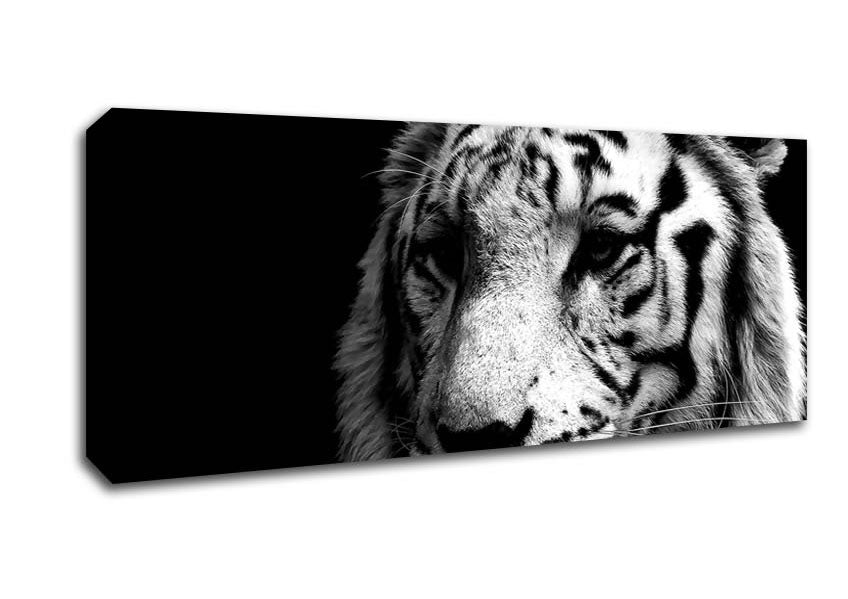 Picture of Tiger Black And White Panoramic Canvas Wall Art