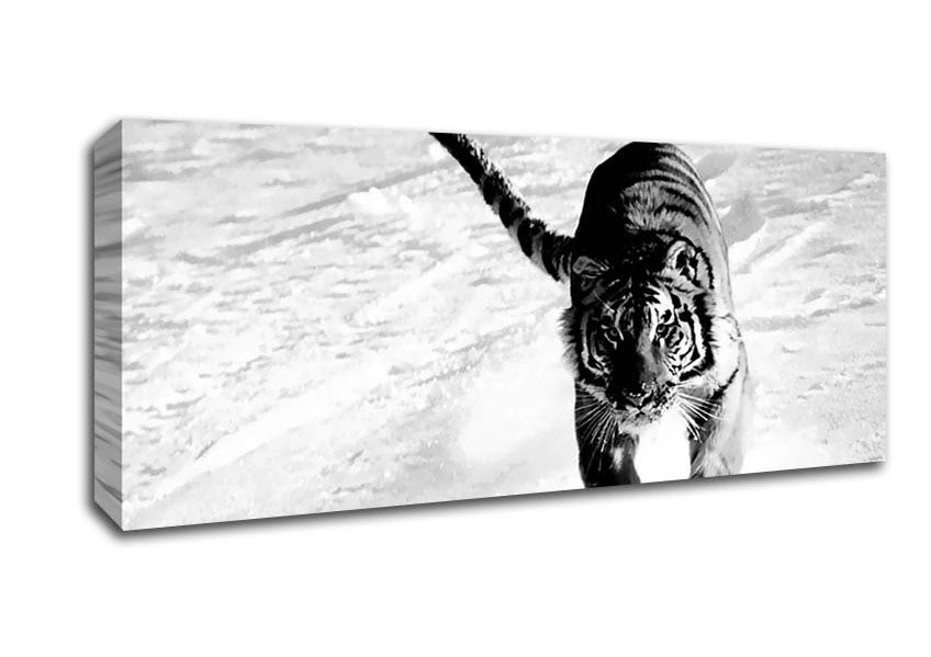 Picture of Tiger Running In Snow Panoramic Canvas Wall Art