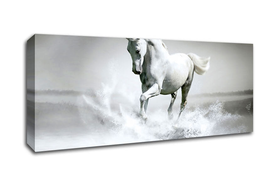 Picture of White Water Horse Panoramic Canvas Wall Art