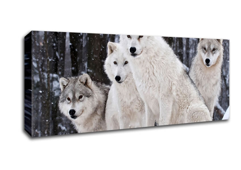 Picture of White Wolf Pack Panoramic Canvas Wall Art