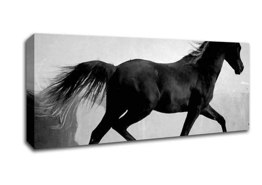 Picture of Wild Horses B n W Panoramic Canvas Wall Art