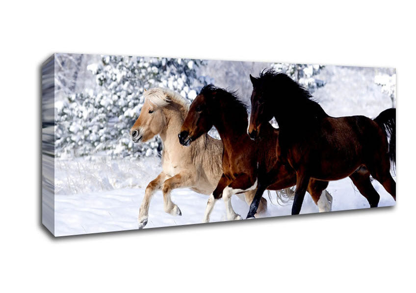 Picture of Wild Winter Horses Running Panoramic Canvas Wall Art