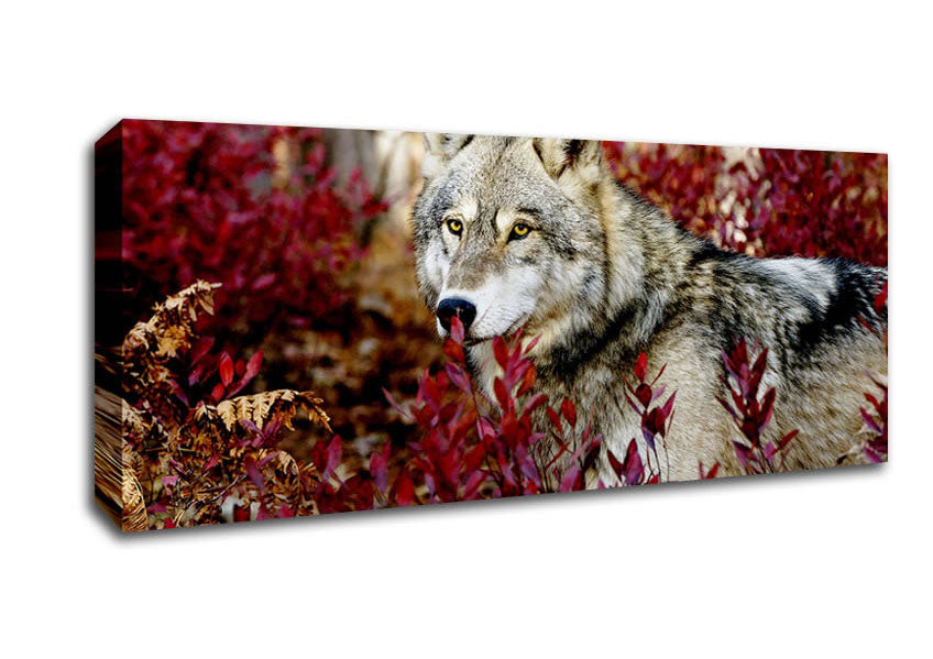 Picture of Wild Wolf Panoramic Canvas Wall Art