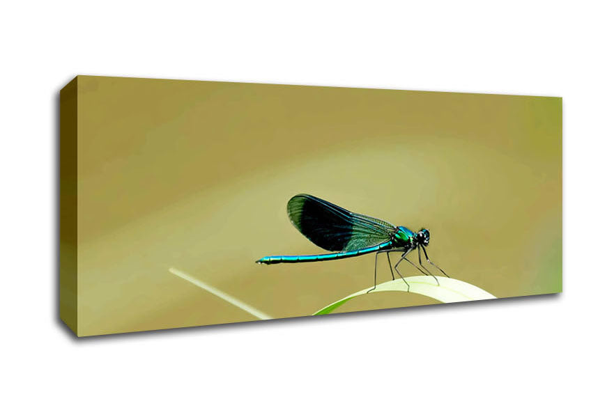 Picture of Wings Of Beauty Panoramic Canvas Wall Art