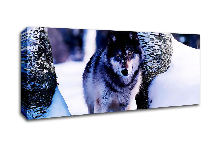 Picture of Wolf In The Snow Panoramic Canvas Wall Art