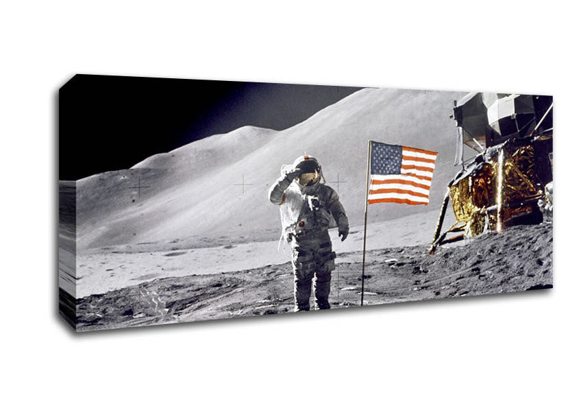 Picture of David Scott Gives Salute Panoramic Canvas Wall Art