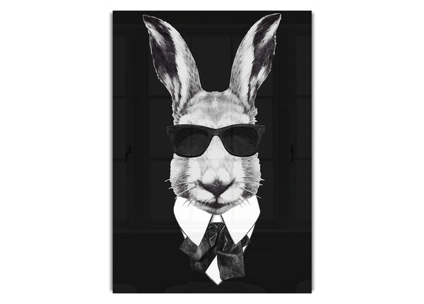 Mafia Rabbit