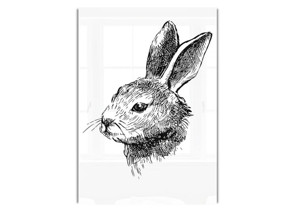 Bunny Portrait