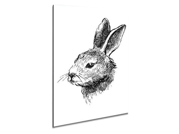 Bunny Portrait