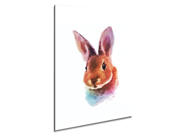 Rabbit Portrait