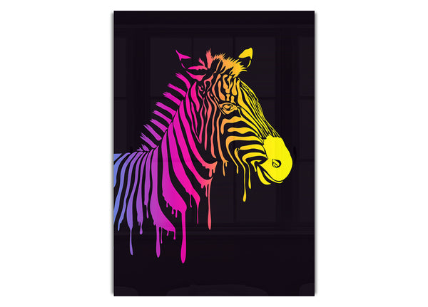 Zebra Rainbow