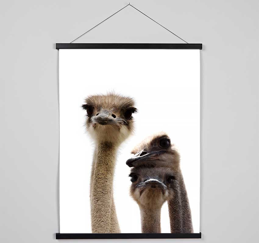 Ostrich Love Hanging Poster - Wallart-Direct UK