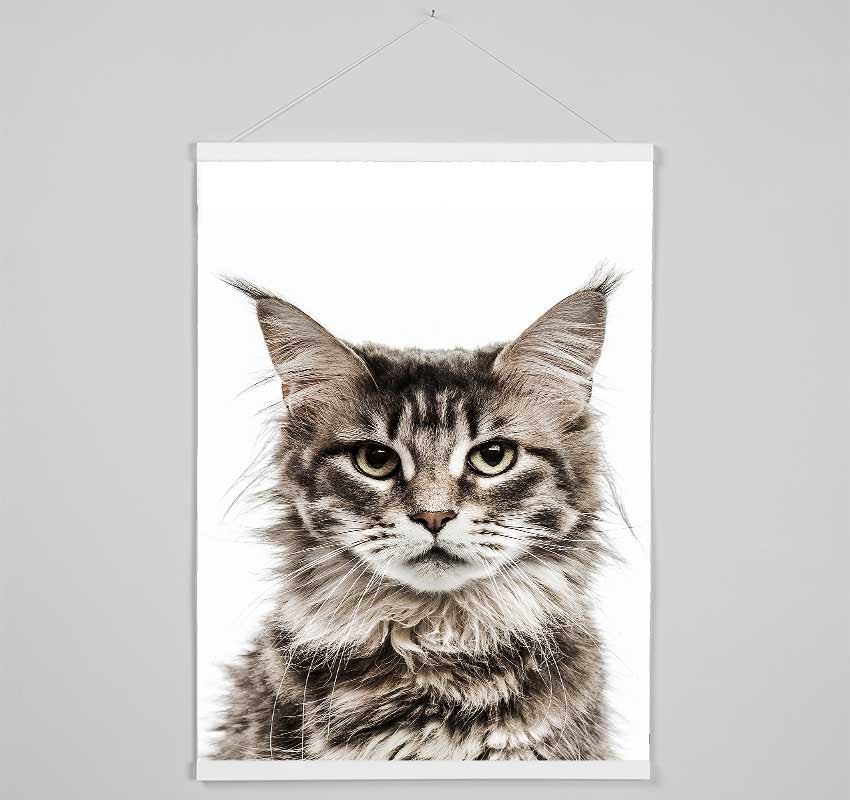 Cat Face Beauty Hanging Poster - Wallart-Direct UK