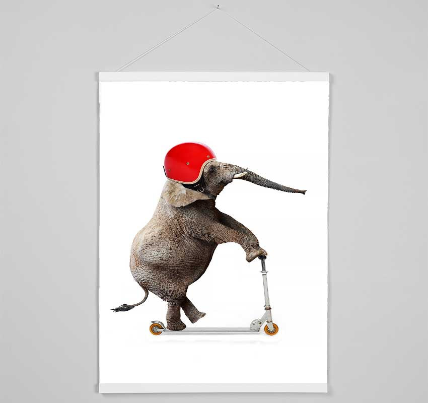 Elephant Scooter Hanging Poster - Wallart-Direct UK