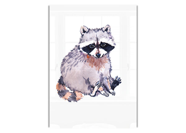 Raccoon Sitting