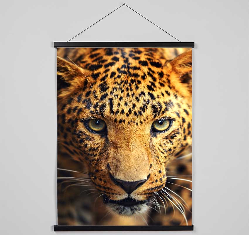 Leopard Stare Hanging Poster - Wallart-Direct UK