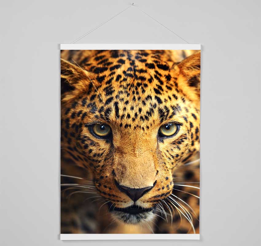 Leopard Stare Hanging Poster - Wallart-Direct UK