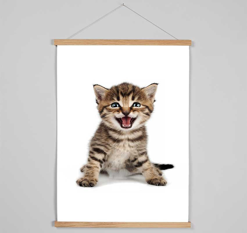 Cat Laugh Hanging Poster - Wallart-Direct UK