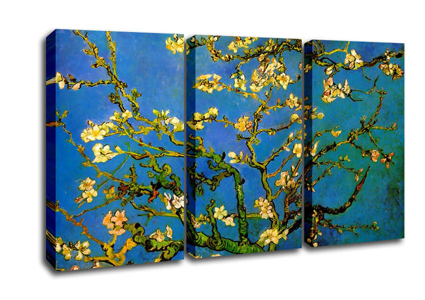 Picture of Van Gogh Blossoming Almond Tree 3 Panel Canvas Wall Art