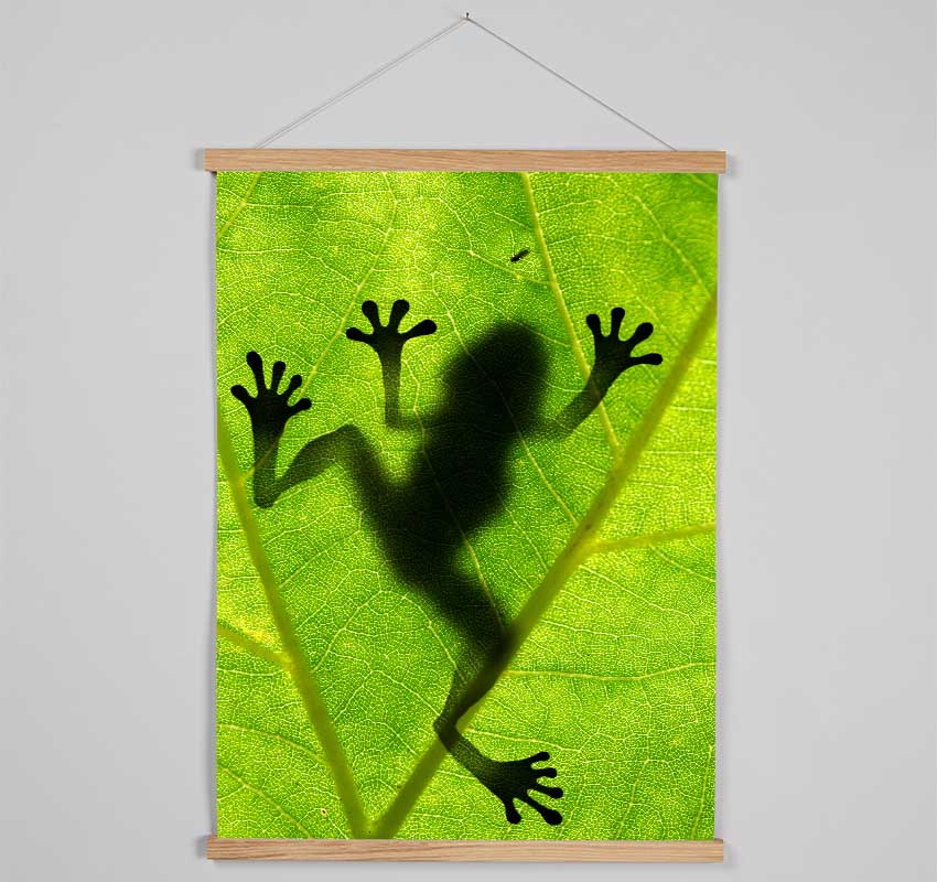 Frog Shadow Hanging Poster - Wallart-Direct UK