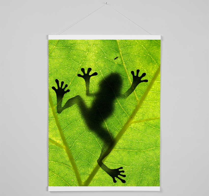 Frog Shadow Hanging Poster - Wallart-Direct UK