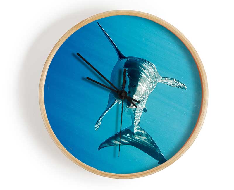 Shark Smile Clock - Wallart-Direct UK