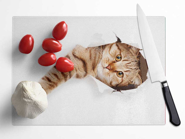 Cat Attack Glass Chopping Board