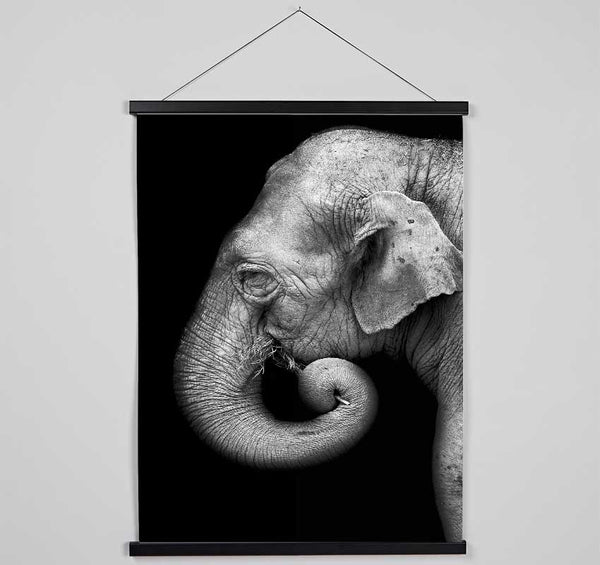 Elephant Face Hanging Poster - Wallart-Direct UK