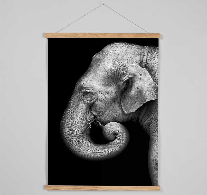 Elephant Face Hanging Poster - Wallart-Direct UK