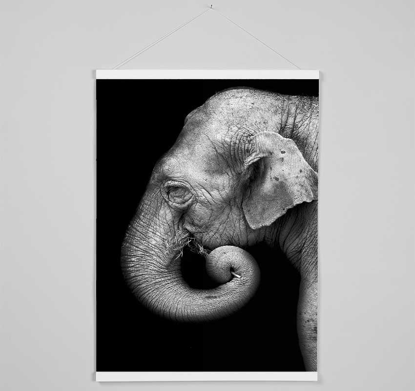 Elephant Face Hanging Poster - Wallart-Direct UK