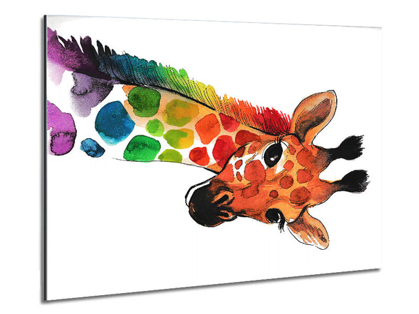 Rainbow Giraffe