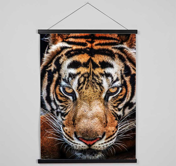 Beautiful Tiger Face Hanging Poster - Wallart-Direct UK