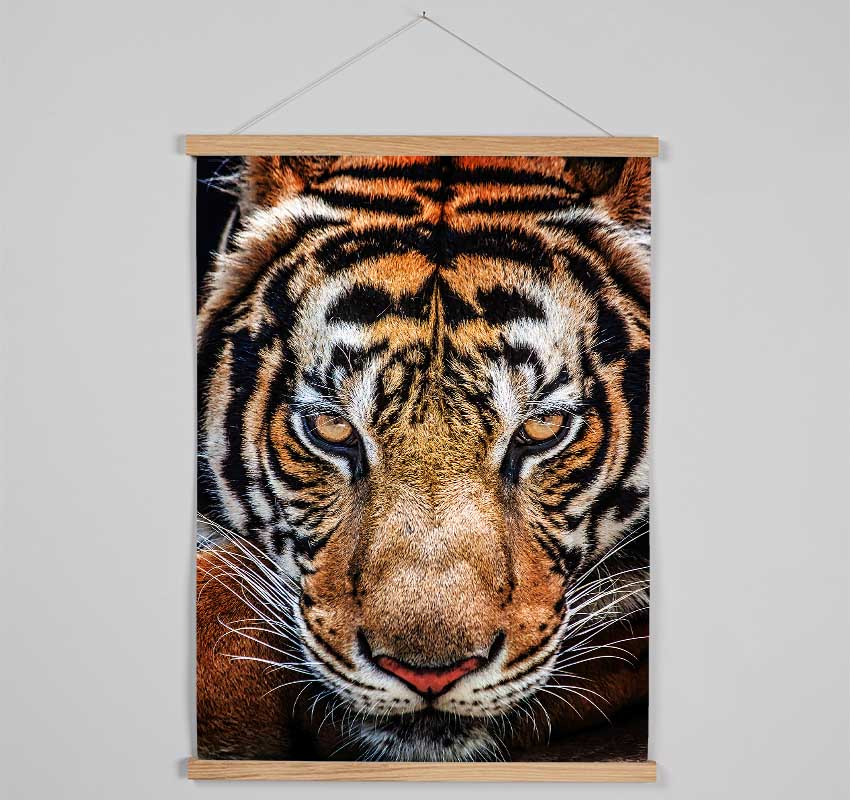 Beautiful Tiger Face Hanging Poster - Wallart-Direct UK