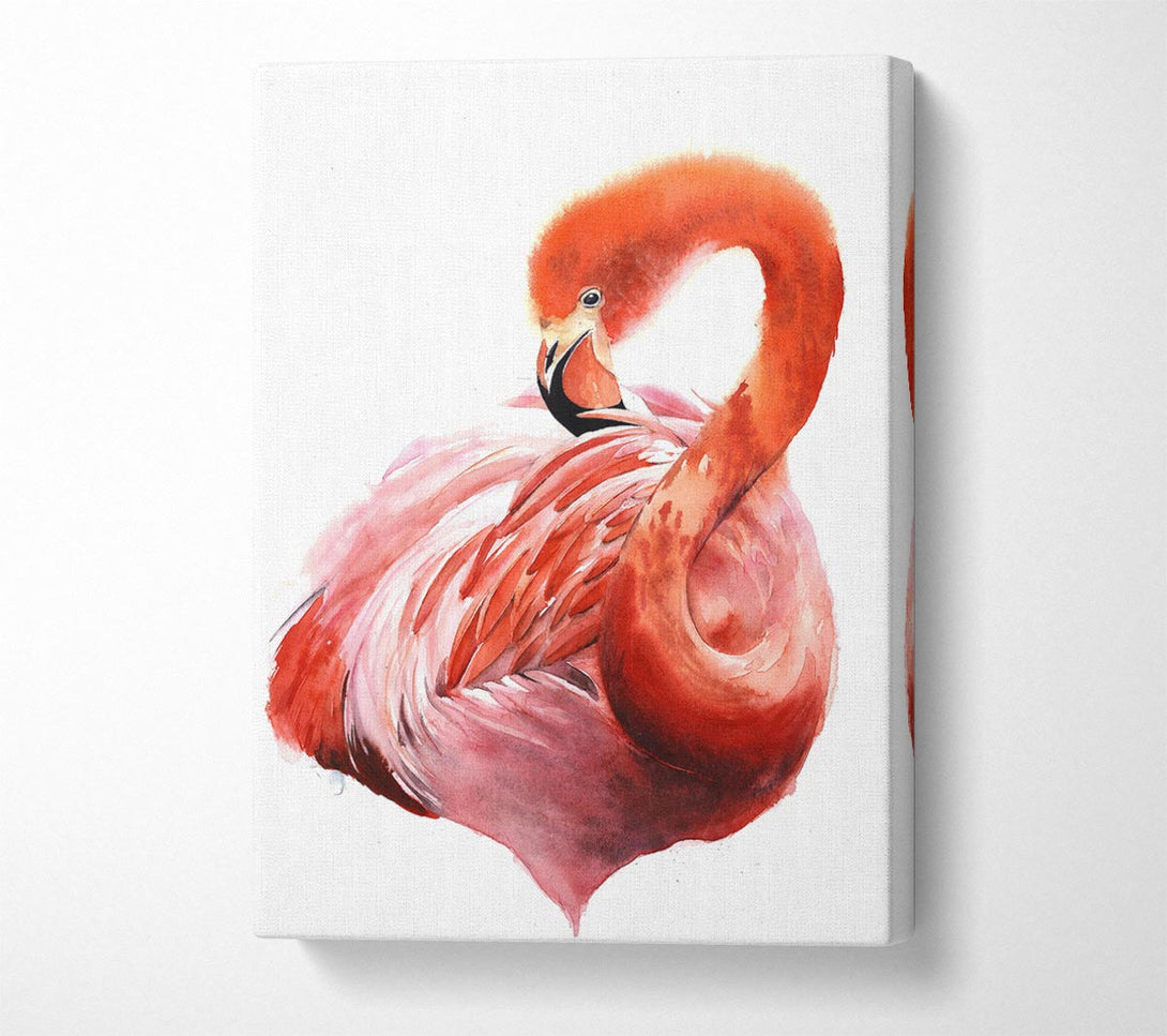 Picture of Flamingo Groom Canvas Print Wall Art