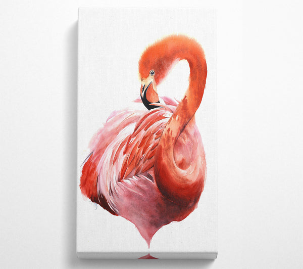 Flamingo Groom