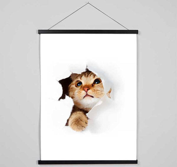 Cat Breakthrough Hanging Poster - Wallart-Direct UK