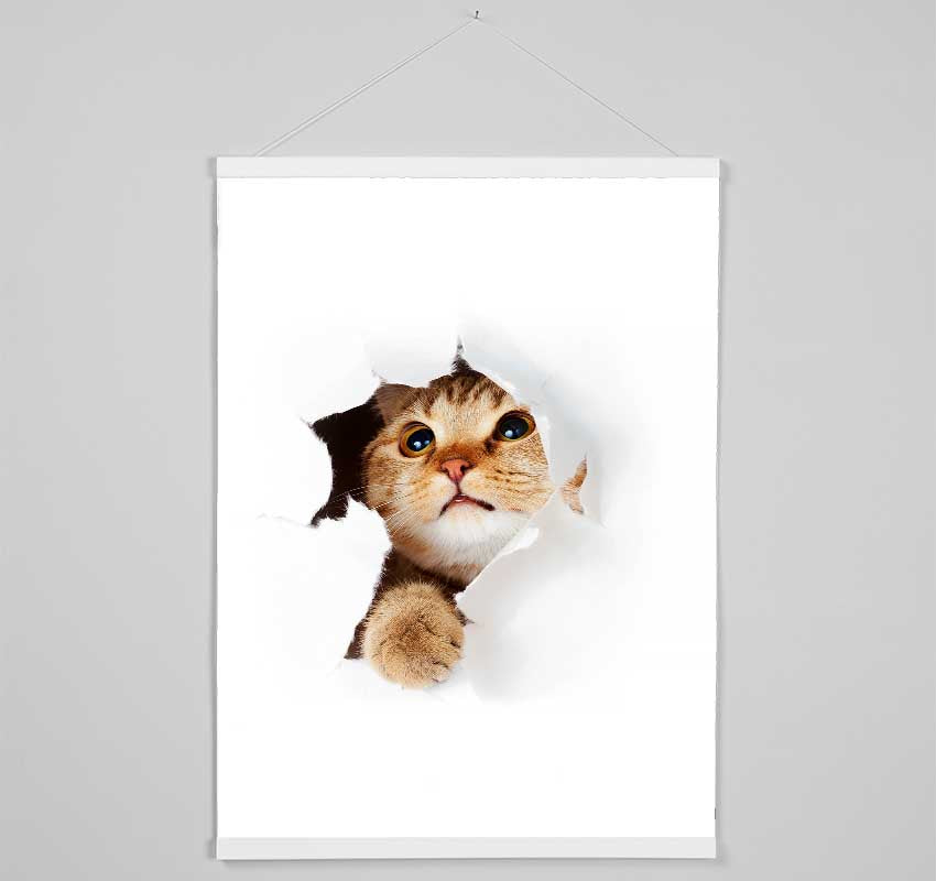 Cat Breakthrough Hanging Poster - Wallart-Direct UK