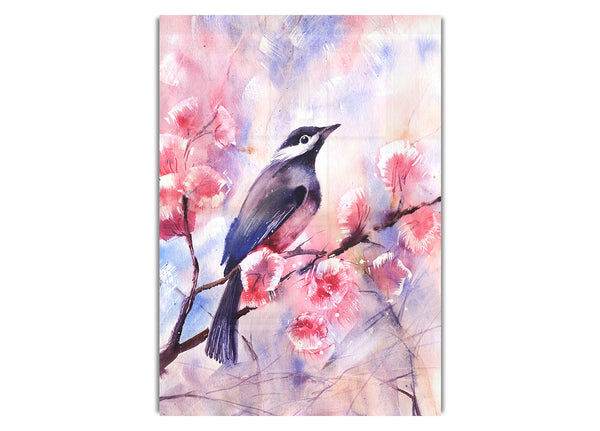 Cherry Blossom Bird